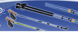 walking stick products